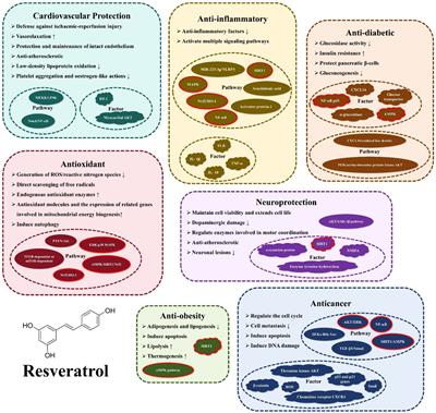 Multidimensional biological activities of resveratrol and its prospects and challenges in the health field